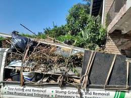 Best Hoarding Cleanup in Waterloo, NE